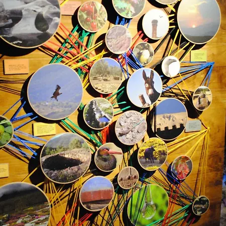 Casa Lopez San Martin 度假居 *