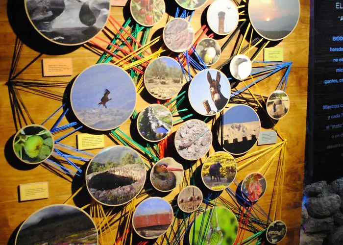 Casa Lopez San Martin 펜션 *